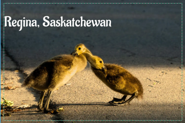 Regina, Saskatchewan