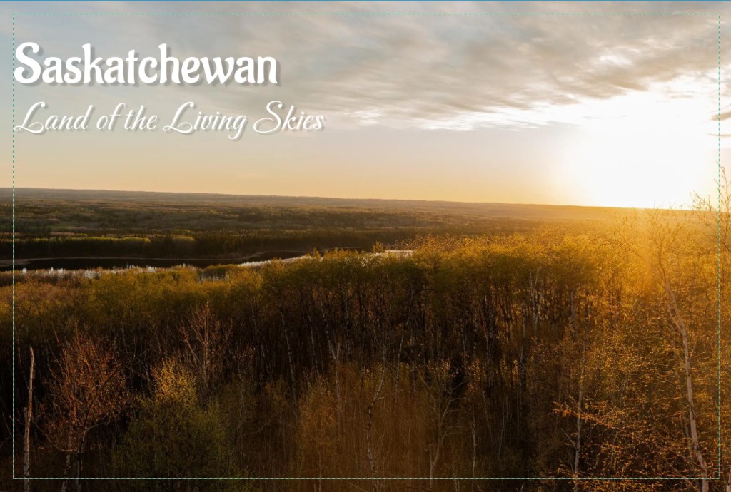Saskatchewan — Forest