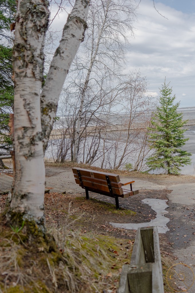 The quiet bench